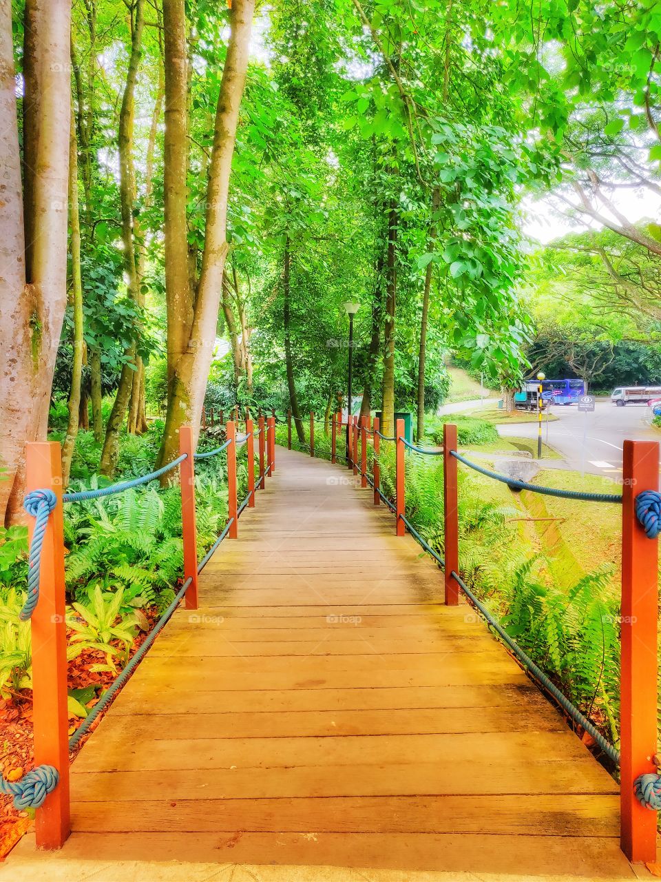 Telok Blangah Park Singapore