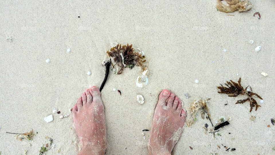 Feet on the white sand of Cuba with small shells