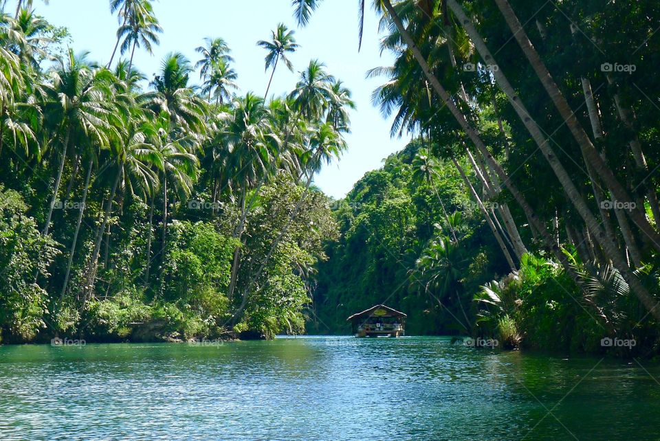Jungle River 
