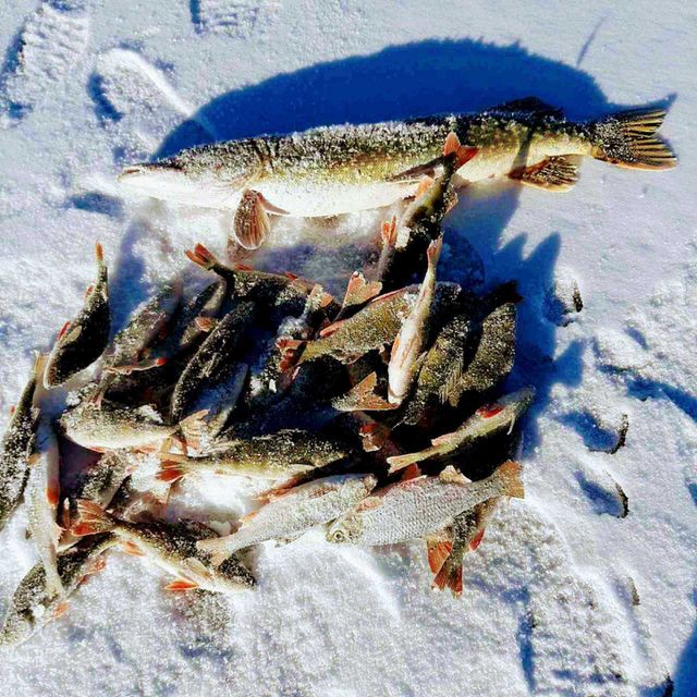 Russian fishing