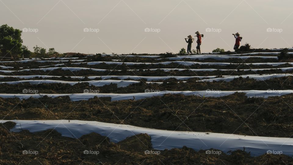 Farmers and agriculture landscape