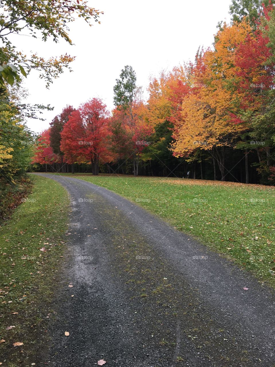 Autumn trail