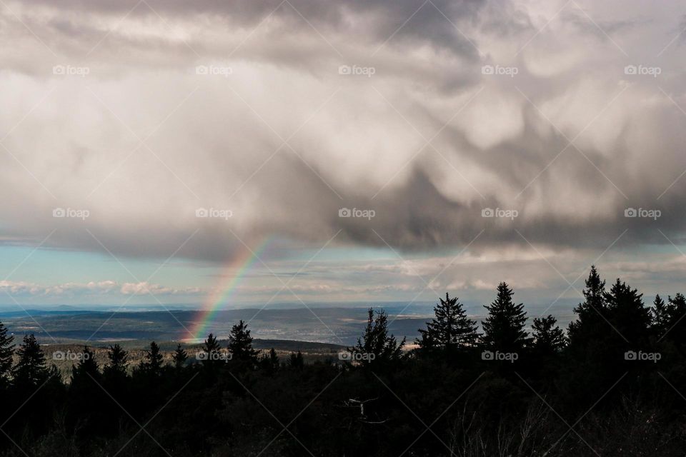 Rainbow on a hill coming out of the clouds in the sky with trees in the foreground.