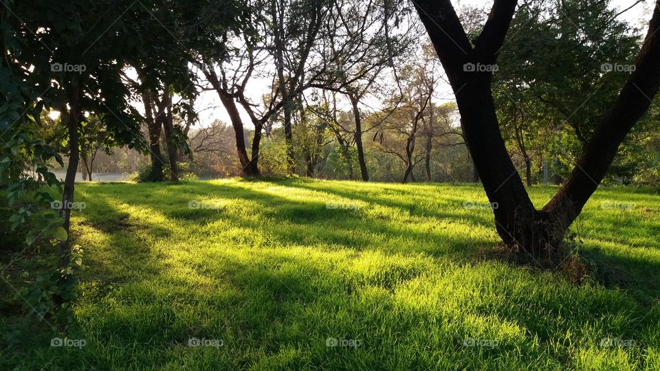 Enchanted Forest

Islamabad, Pakistan.