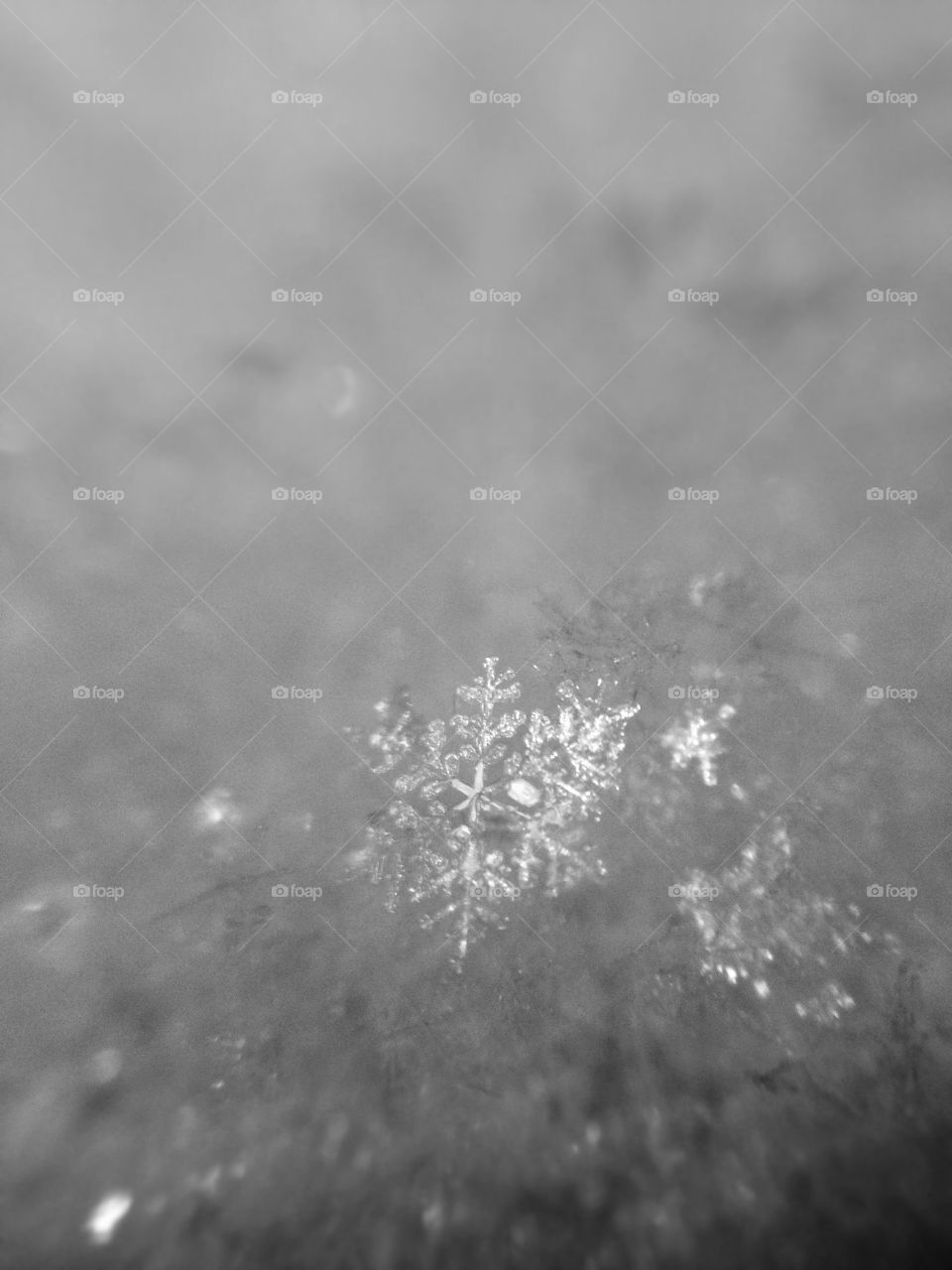 Snowflake taken by iphone macro lens