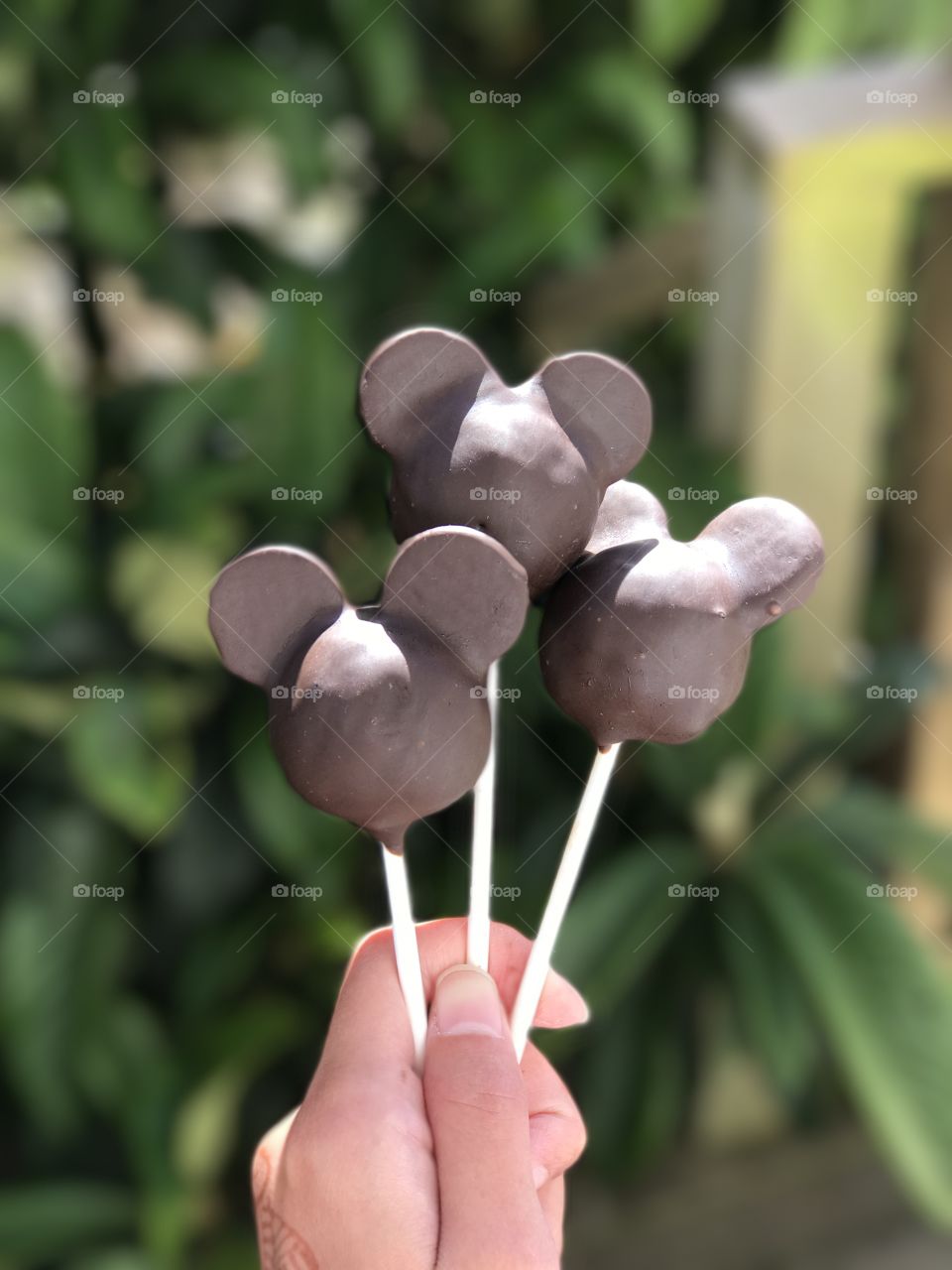 A person holding cake pops in hand