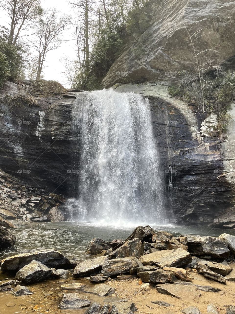 Looking Glass Falls