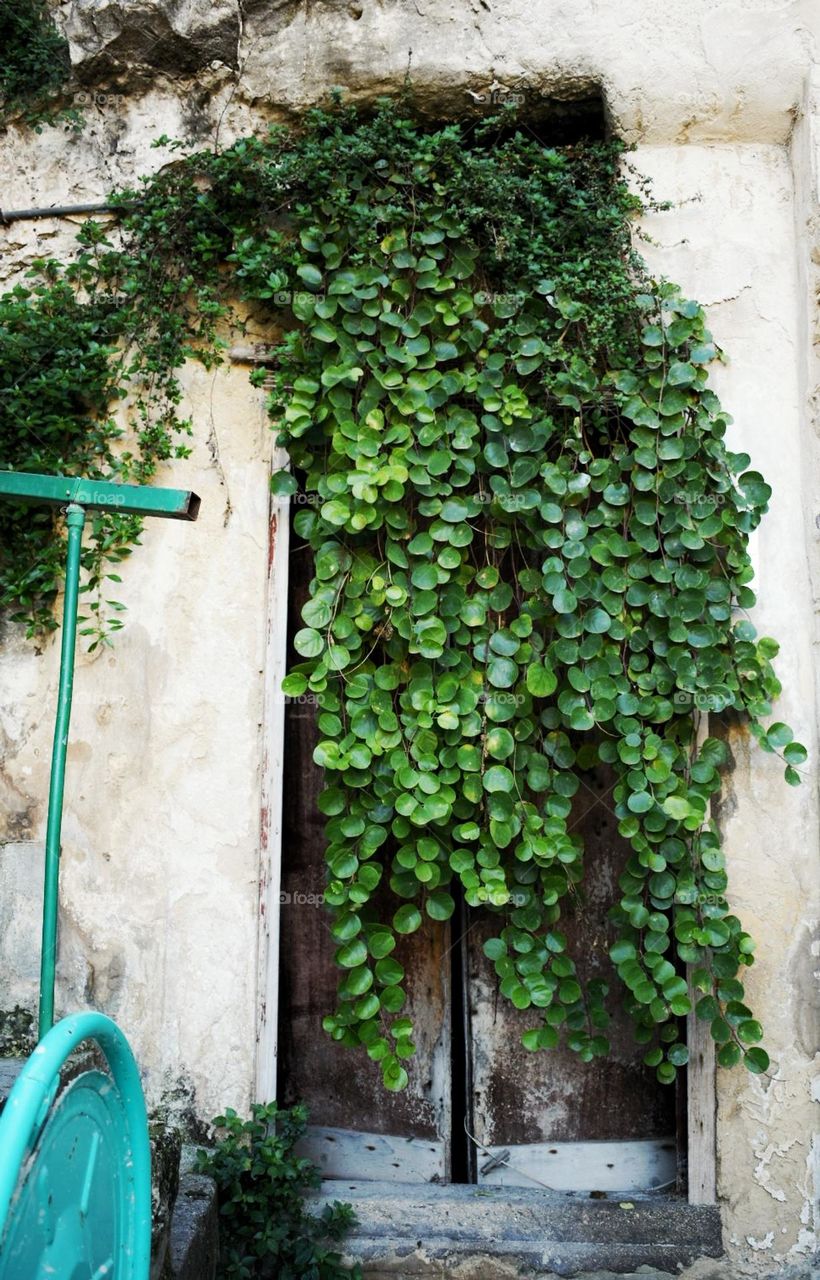Puerta de Sicilia cubierta con plantas de alcaparras