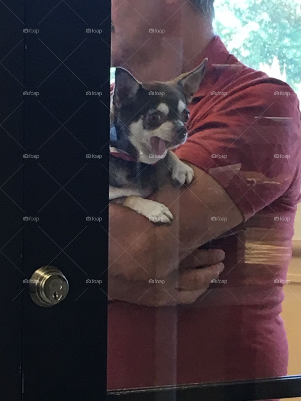 Funny dog at PetSmart 