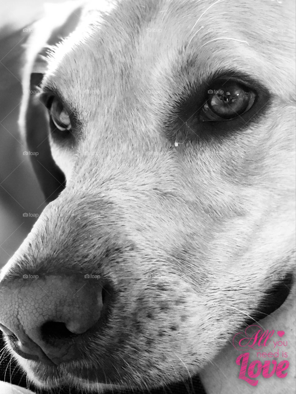 All you need is Love ❤️