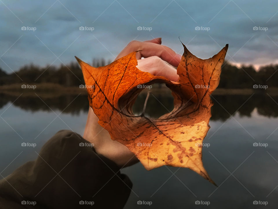 Female hand holding an orange dry autumn leaf in front of horizon above the lake in the evening 