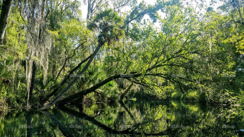 Reflections on the river