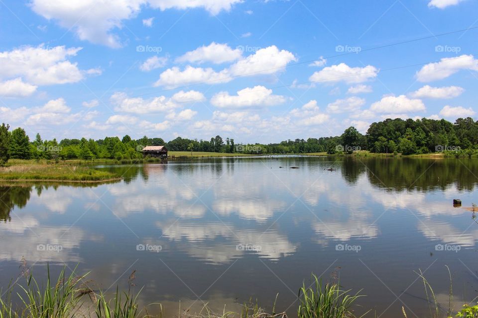 Reflecting Pool