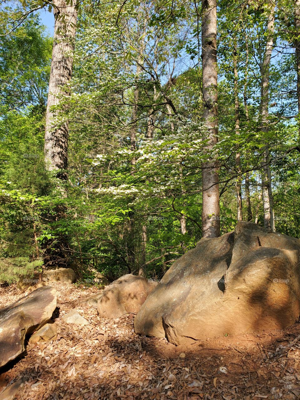 a little country in the city