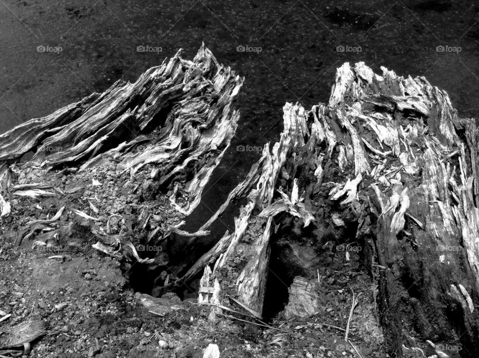 line art and wood shadows