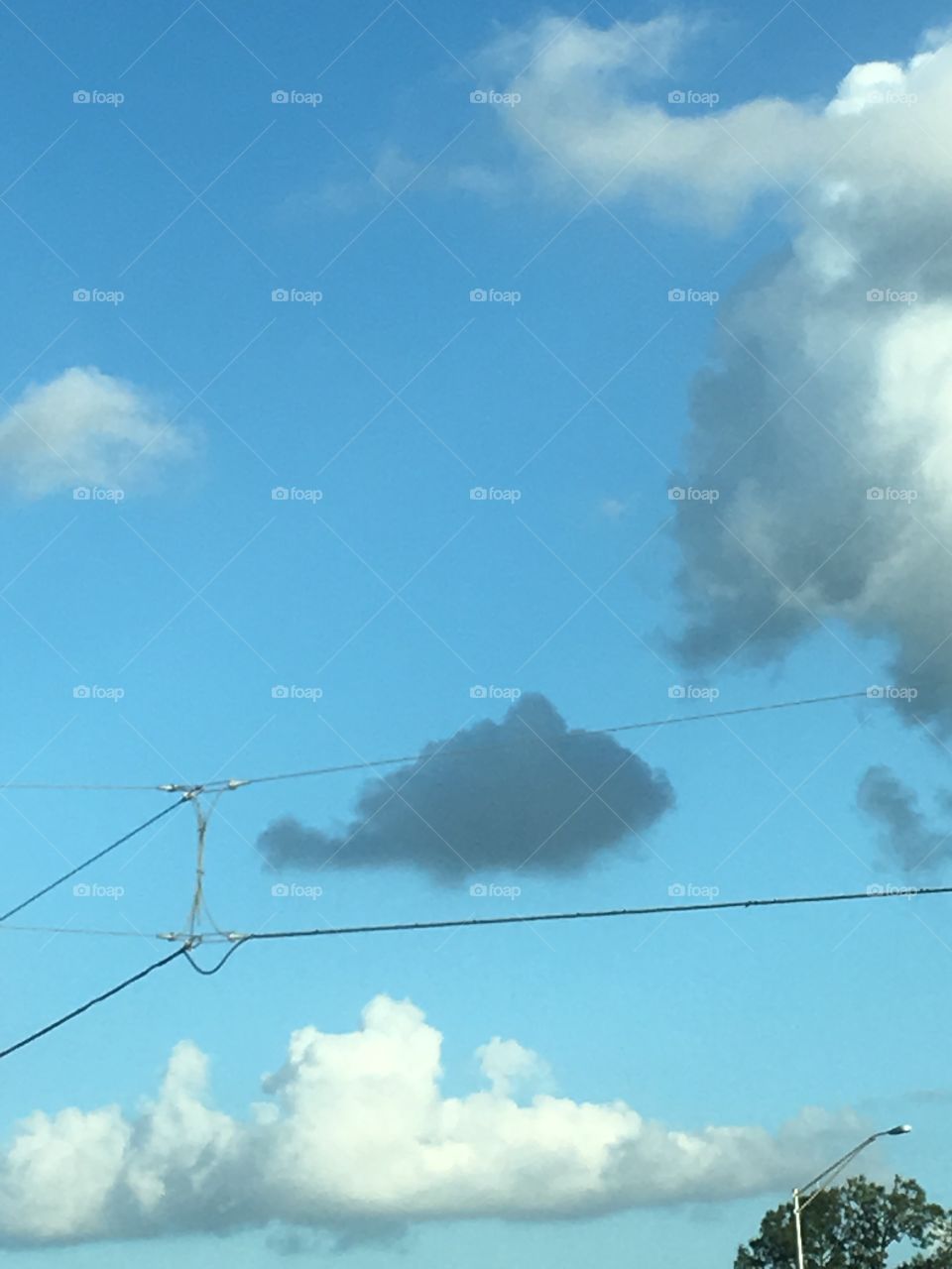 Fish cloud 