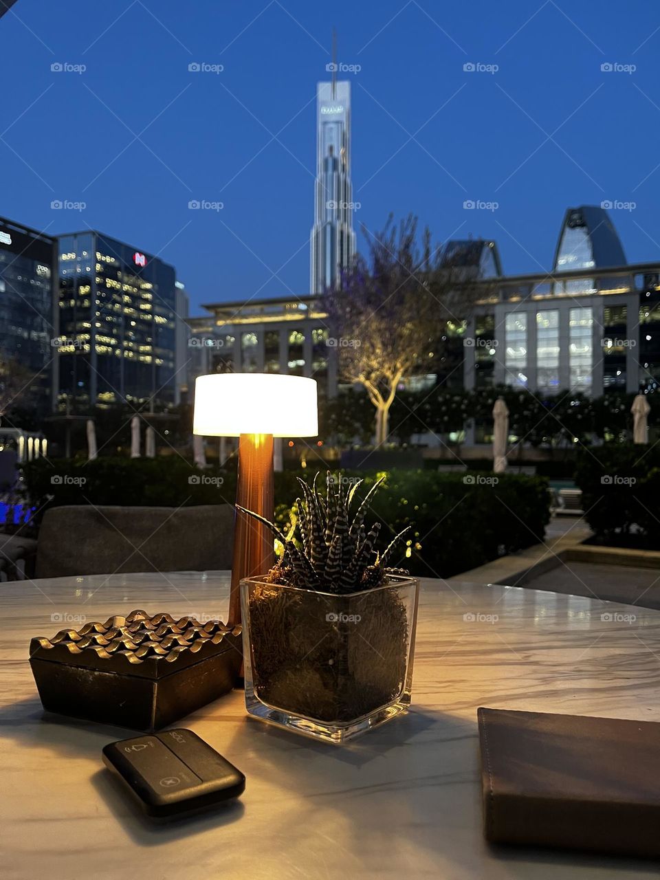 Signature Sky view Dubaï…capture the moment 