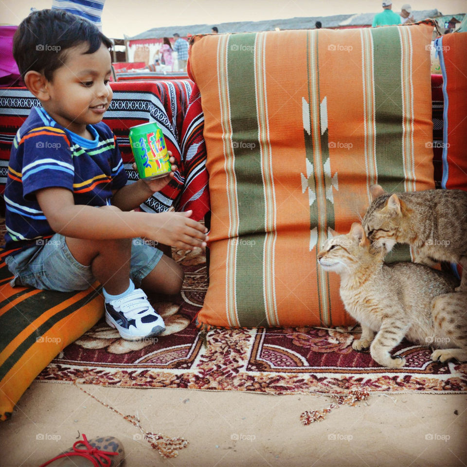 A boy reaches out to touch the kittens in front of him at a desert