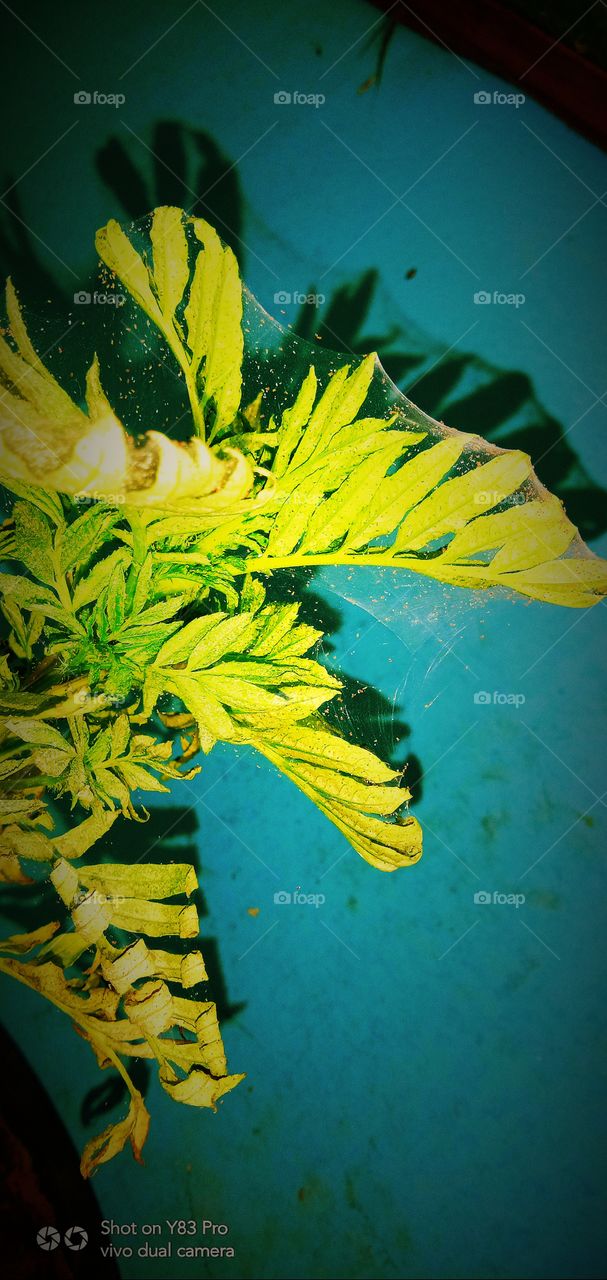 There is beauty in change, and these sunset quotes will remind you of the loveliness in endings that bring new beginnings.
Sunsets are not only beautiful, but they also have so much meaning. They signify endings, change, and transformation; they rem