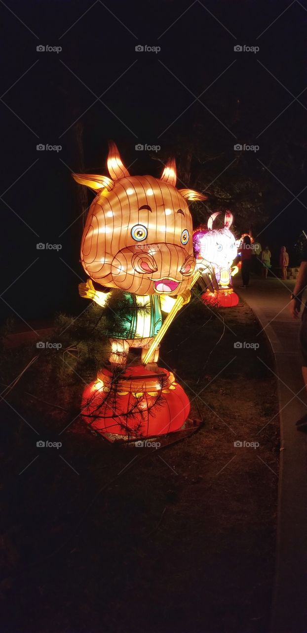 ILLUMINATION of Lights