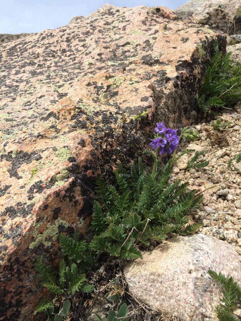 Nature, No Person, Landscape, Rock, Outdoors