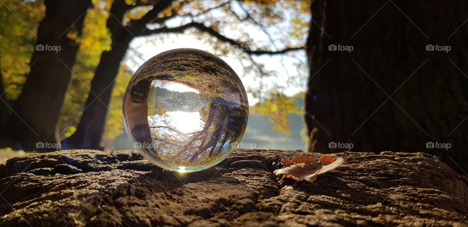 Glaskugel Cologne Germany