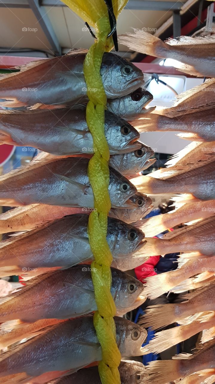 korean fish market
