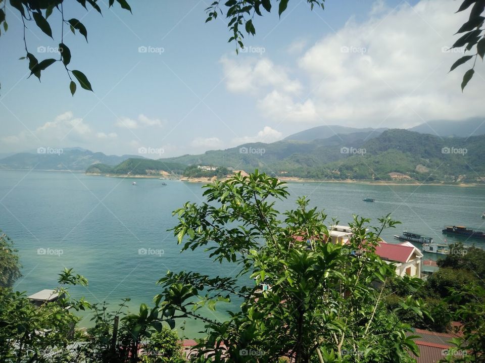 Help! Donate for life