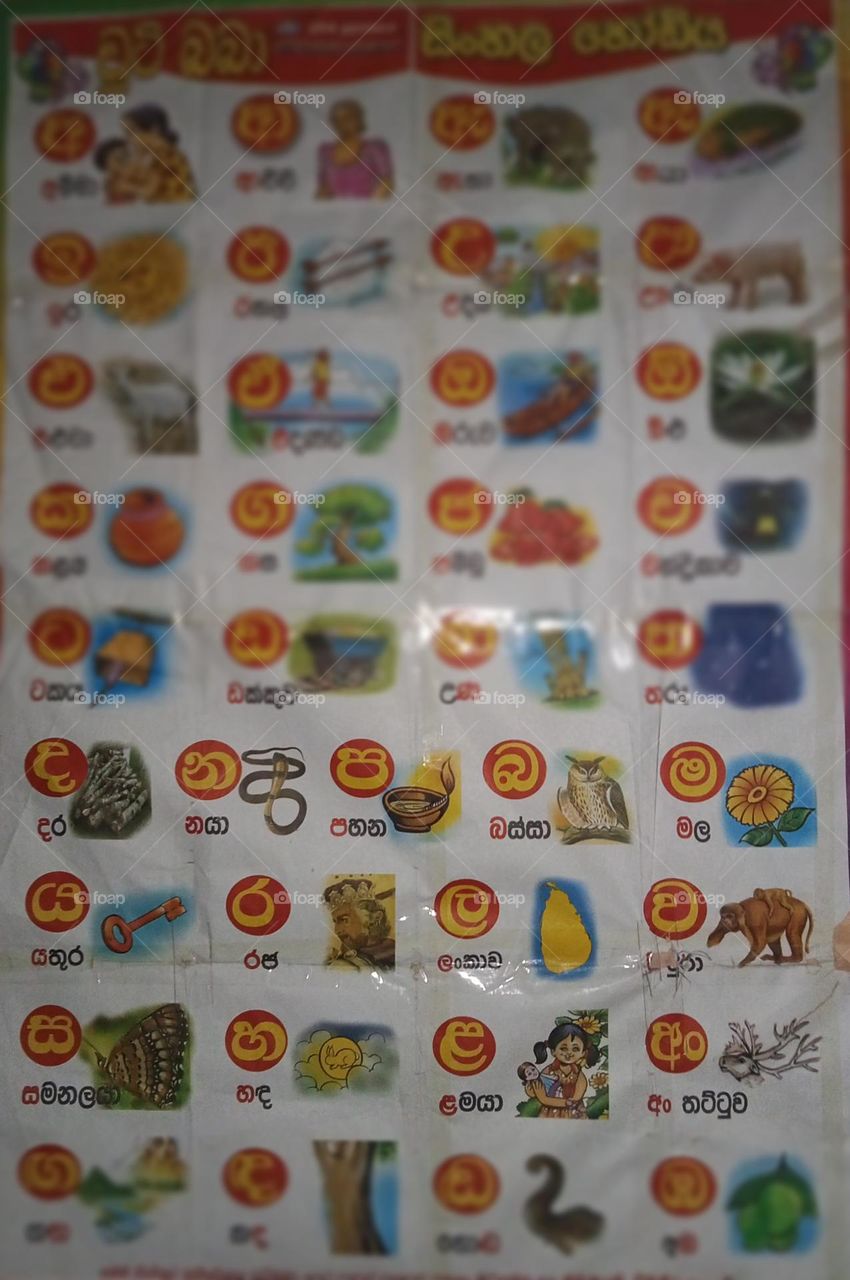 Sinhala Alphabet Letters
