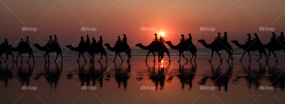 Silhouette of people riding on camel at beach