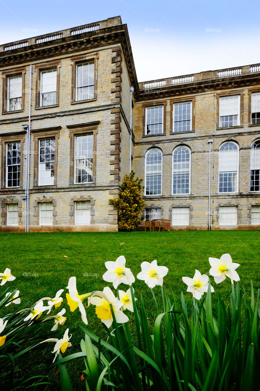 Garden. Stately home 