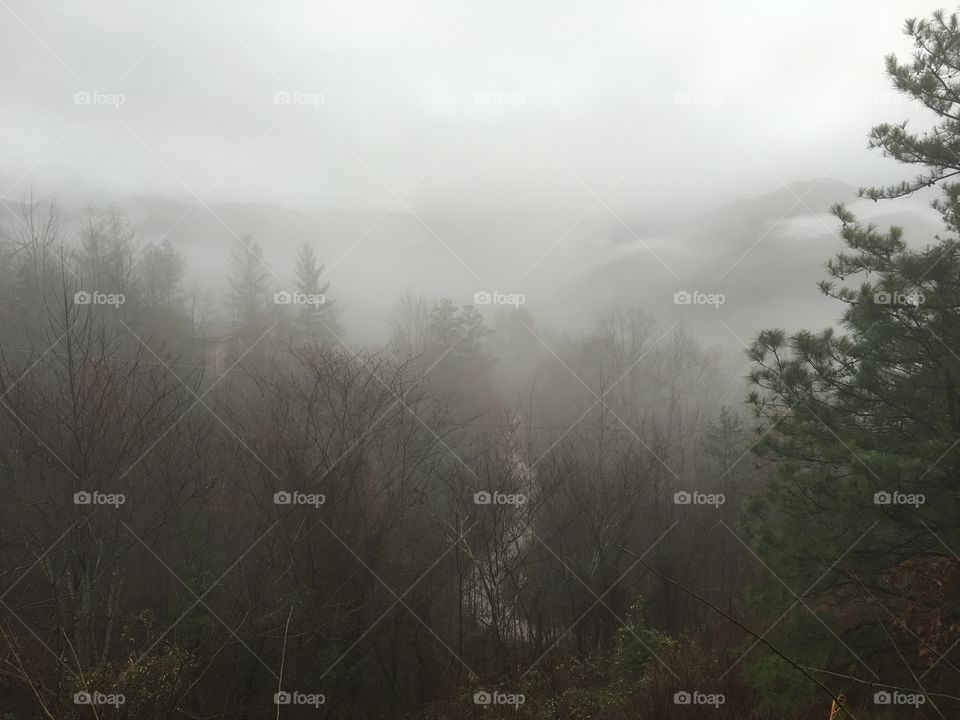 A misty winter morning in the Nantahala Mountains, North Carolina.
