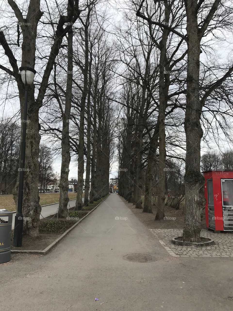 Frogner Park 