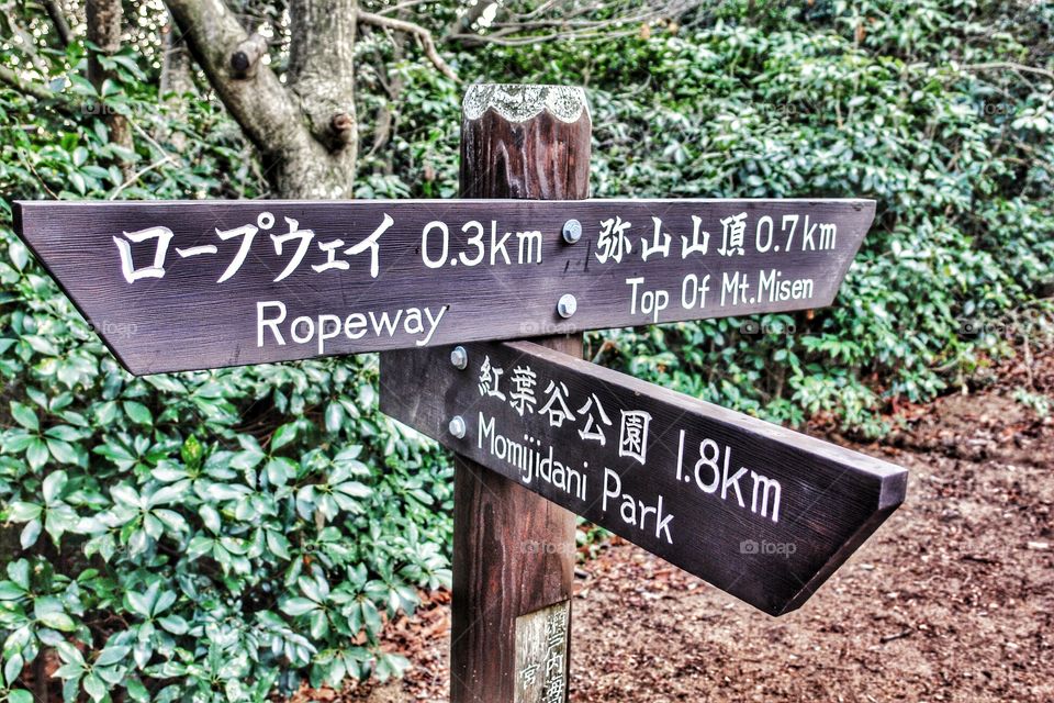 Japanese sign post. Japanese sign post 