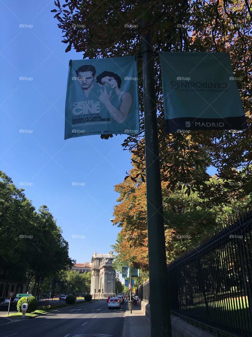 Streets lined with trees in Madrid 