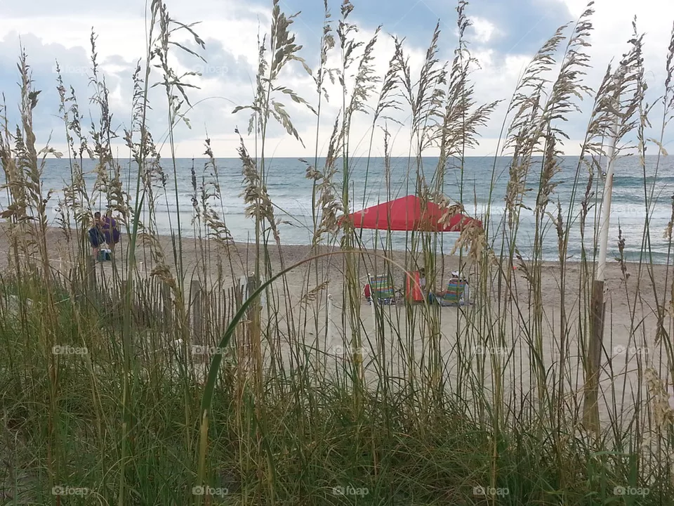 beach day