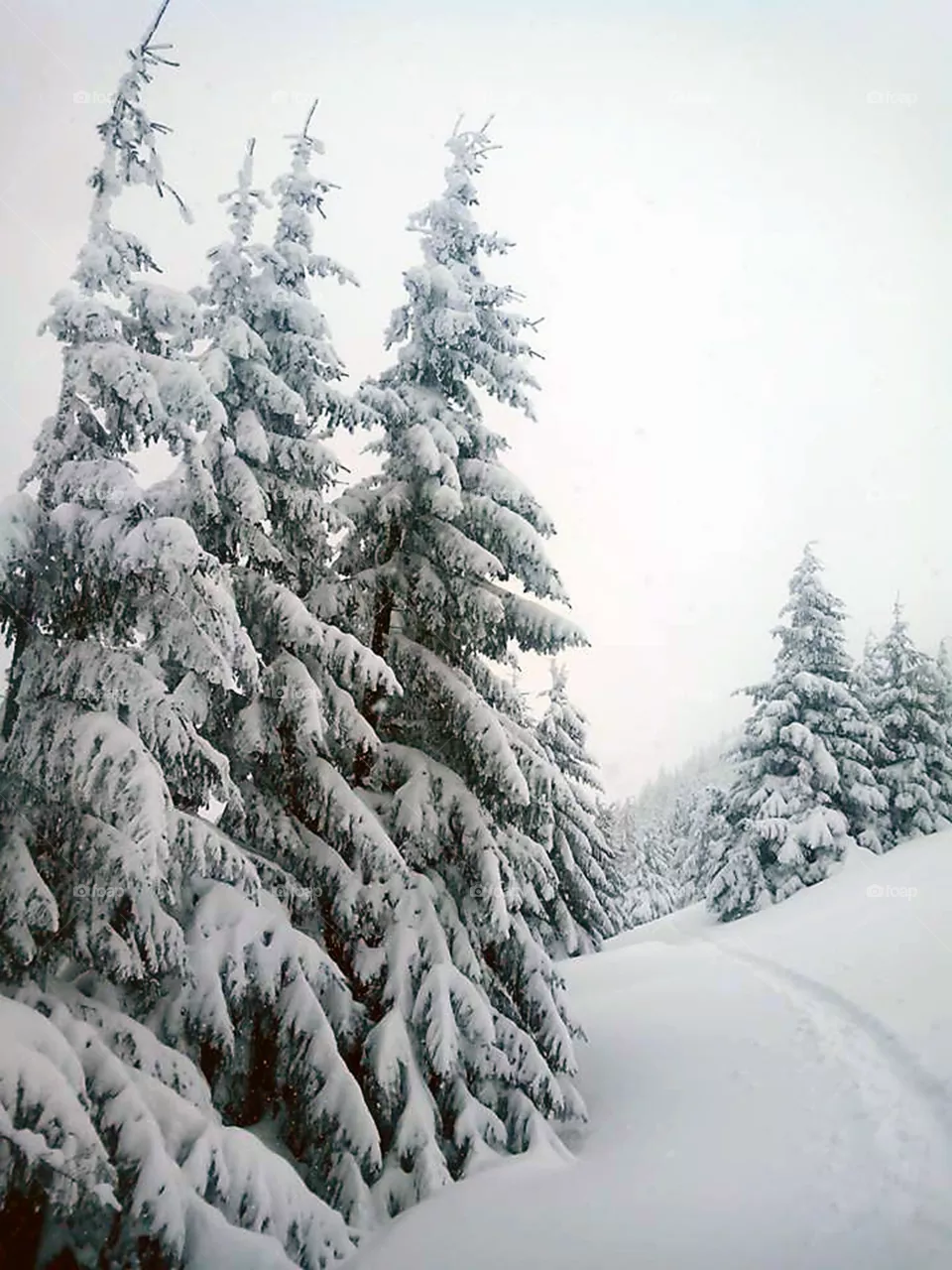 winter