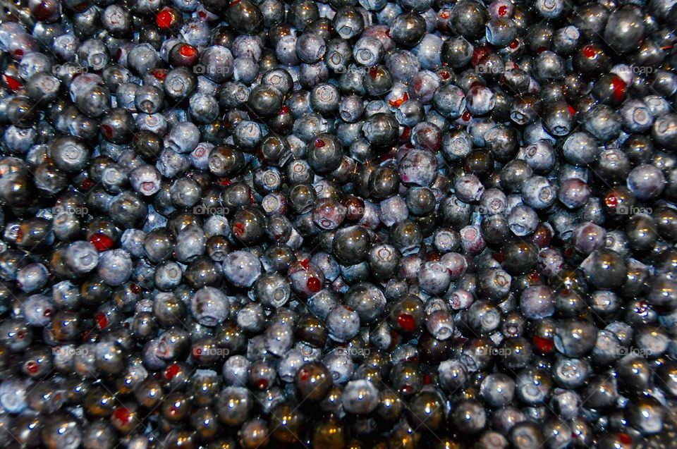 Blueberries . Picture taken in Stockholm, Sweden July 2015