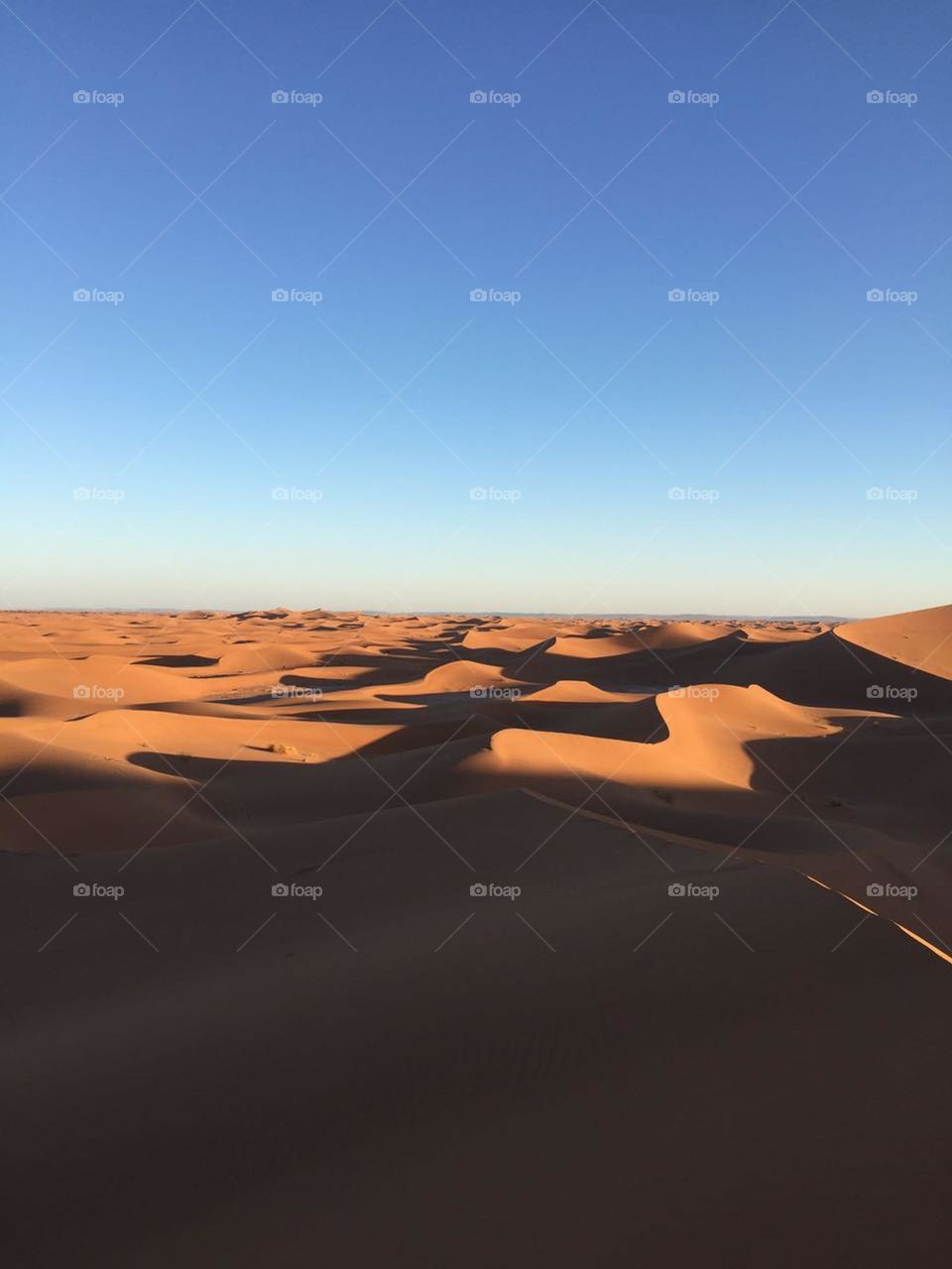 sand dunes in desert of chgaga in Morocco