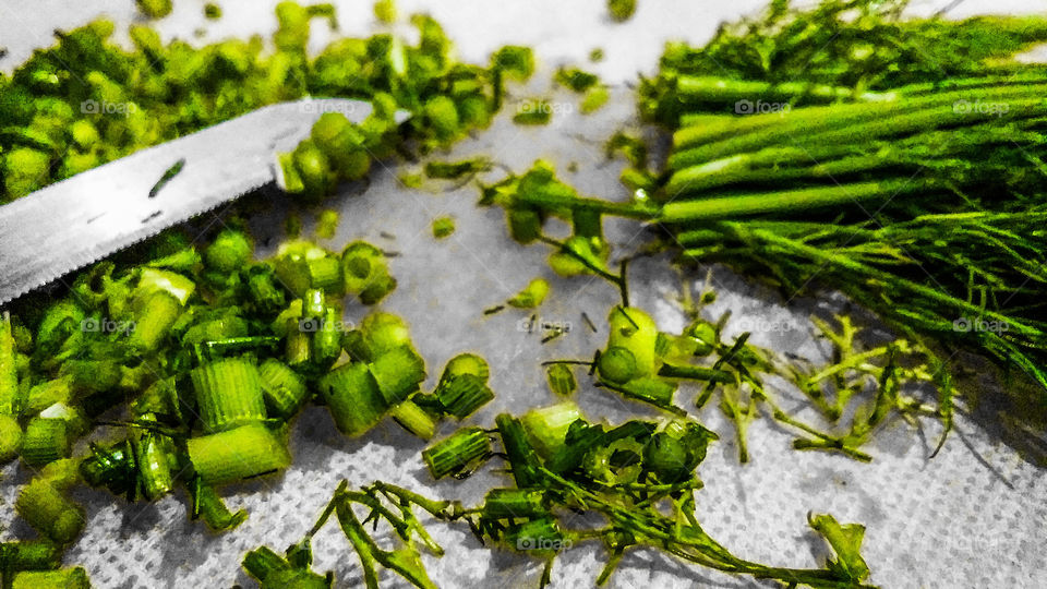 Dill or anethum graveolens cut knife isolated