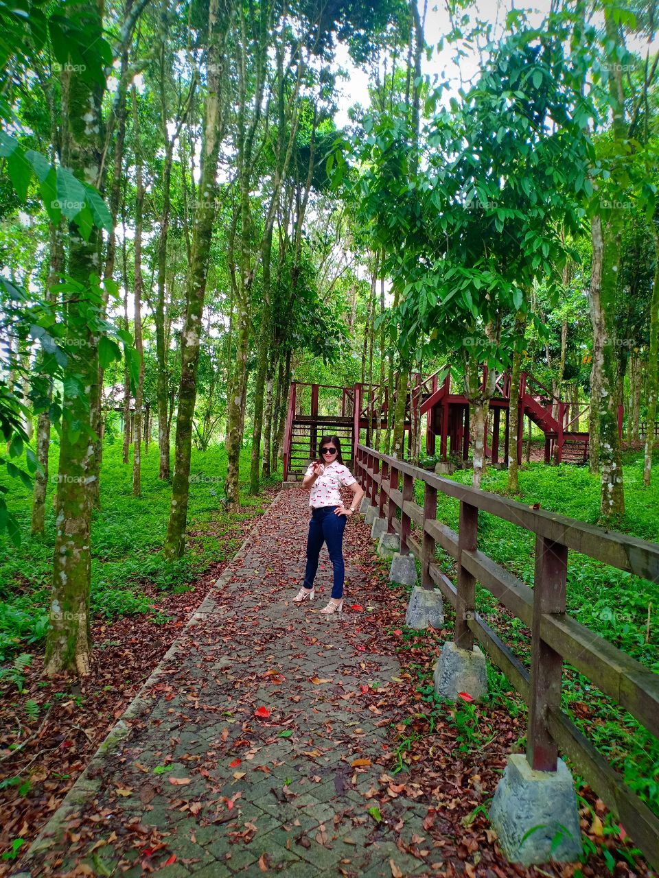 Pemandangan Hutan Kota Tomohon