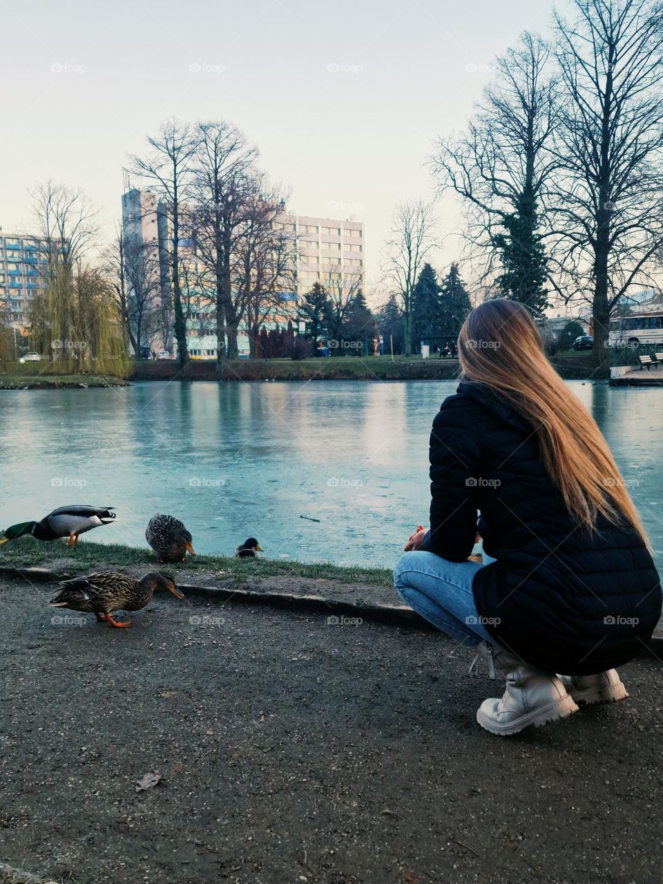 the young girl feeds the wild ducks