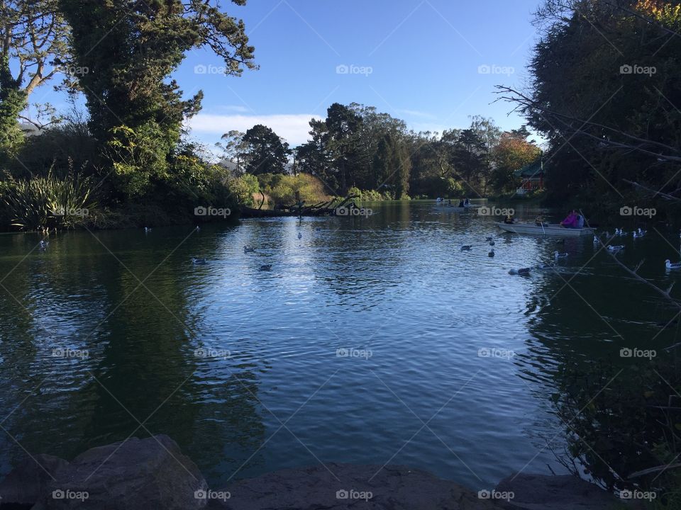 Water, Lake, Tree, River, Landscape