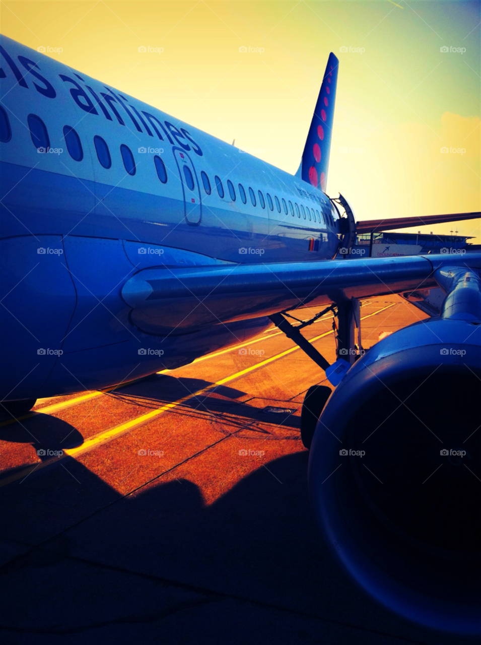 blue travel windows boarding by cyrano