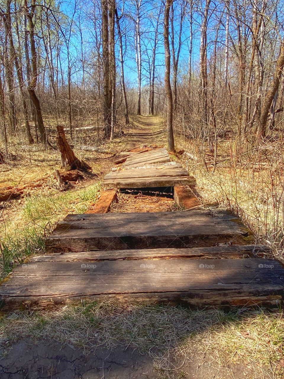 Hiking trail