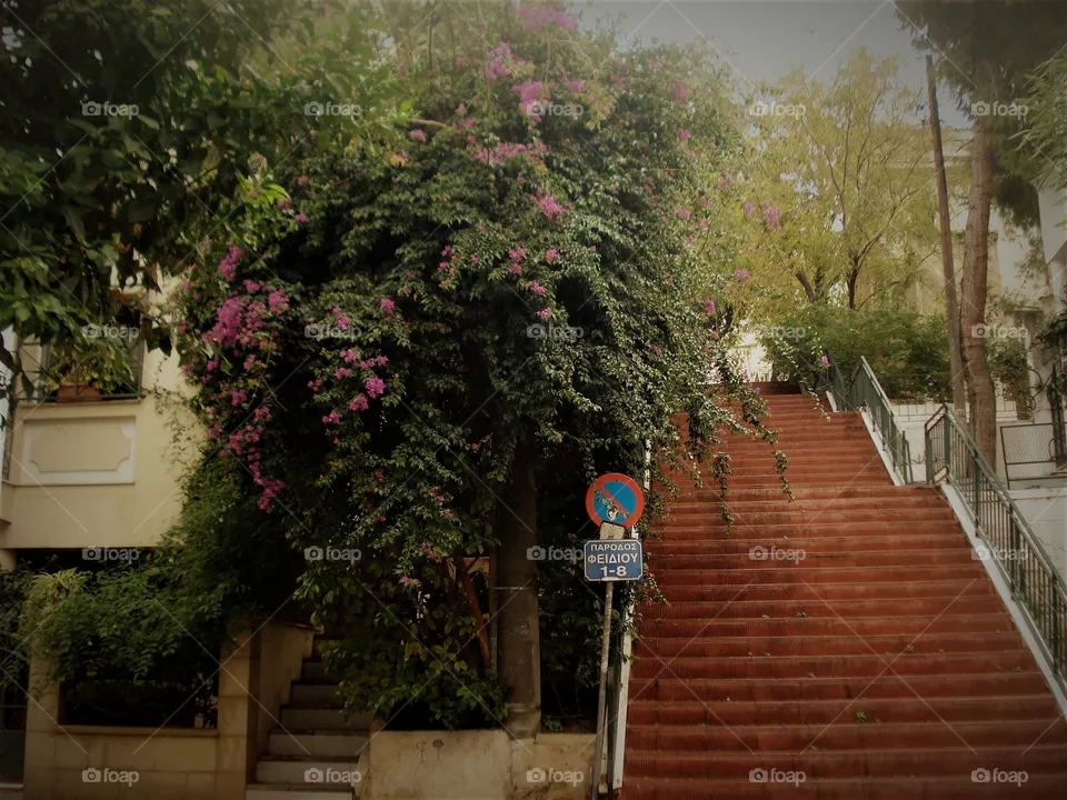 stairs