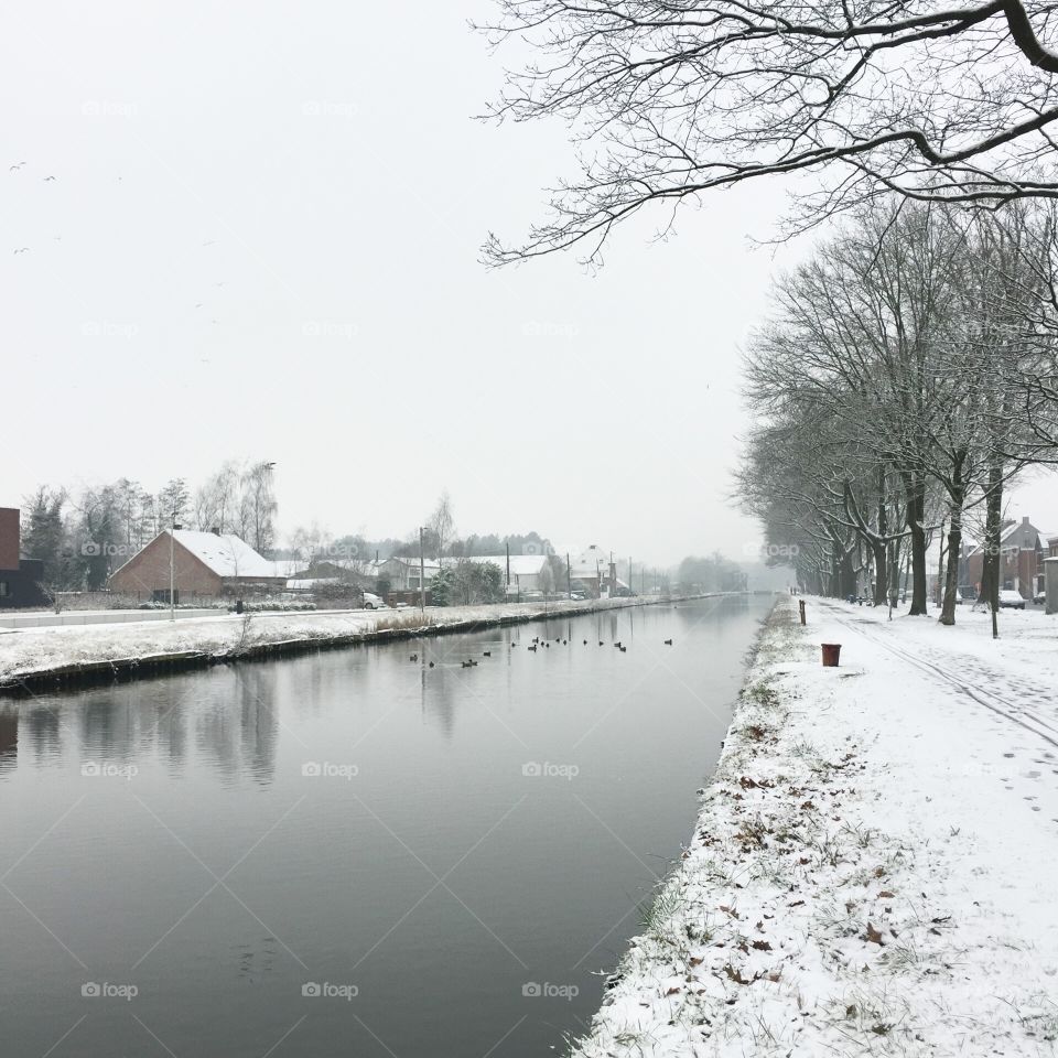 Snow landscape 