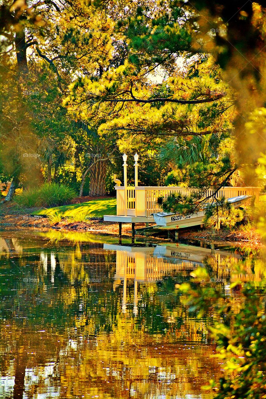 Autumn trees reflecting in lake