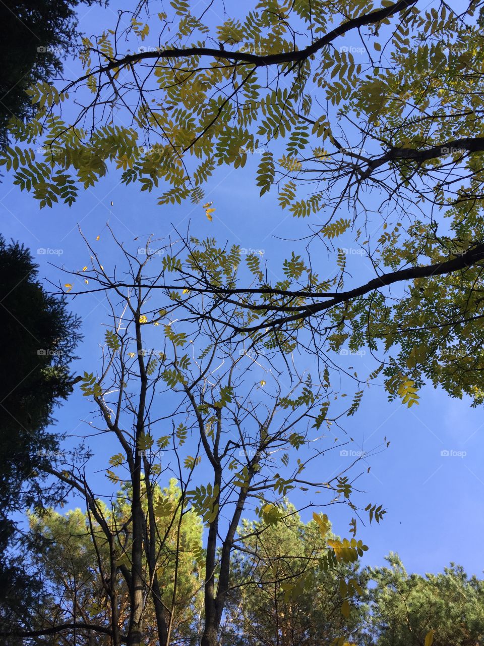 Inspirational autumn 