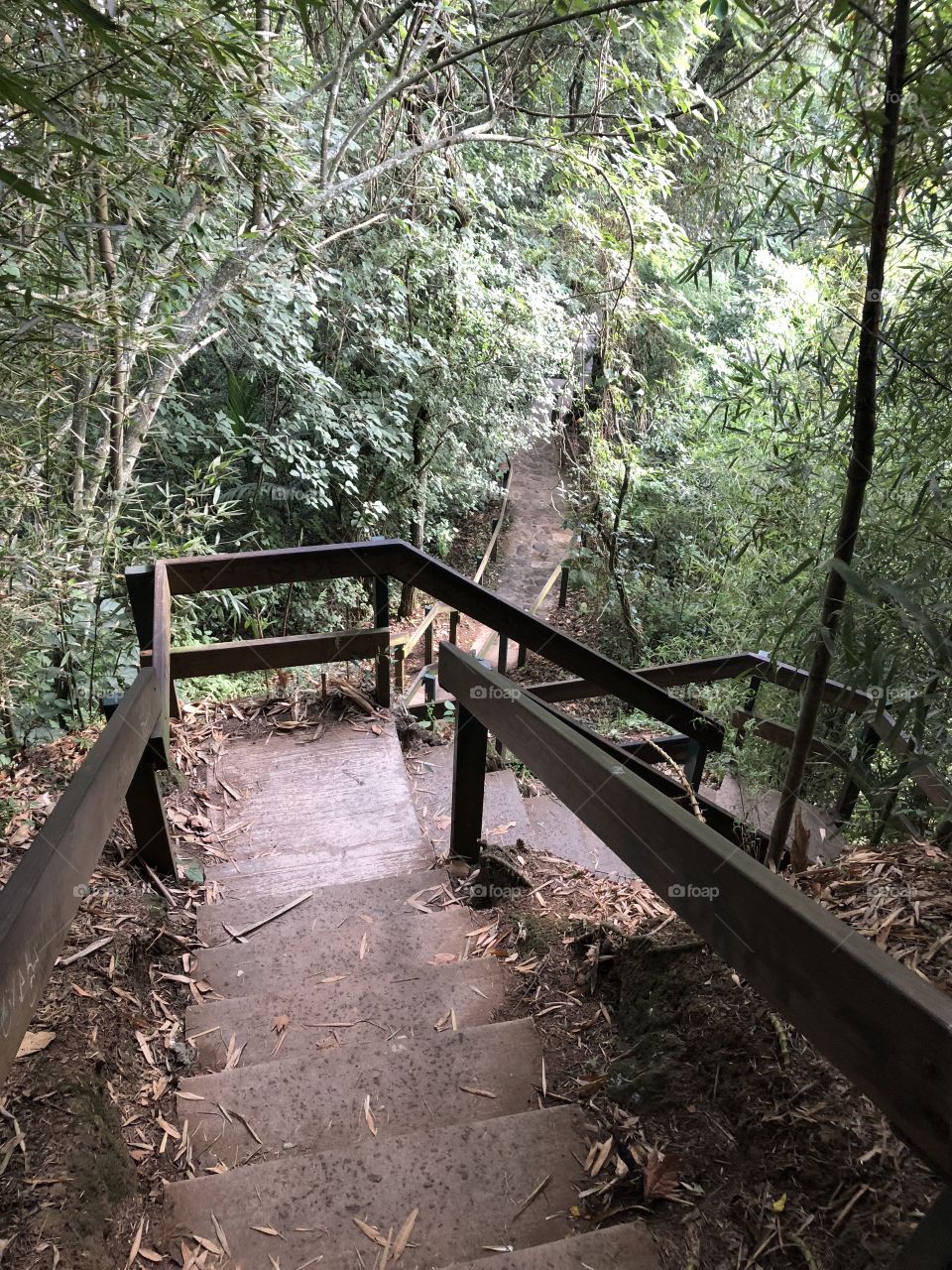 Stair way to the top. On a bright hot summer day, nothing was better than finding this trail under some bamboo trees. 